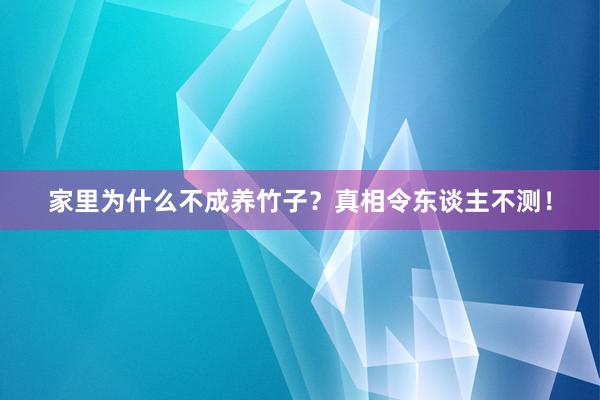 家里为什么不成养竹子？真相令东谈主不测！