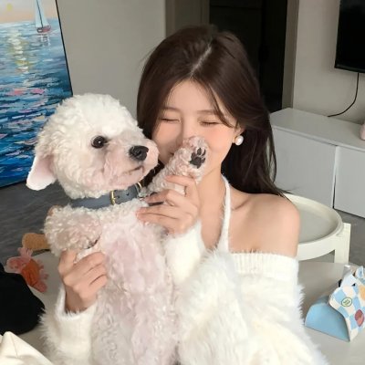 太阳花